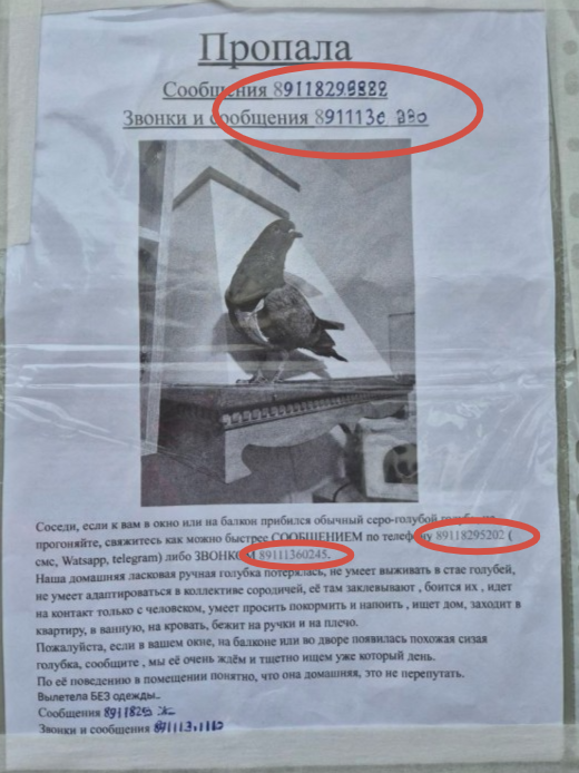 У нас на остановке объявление повесили