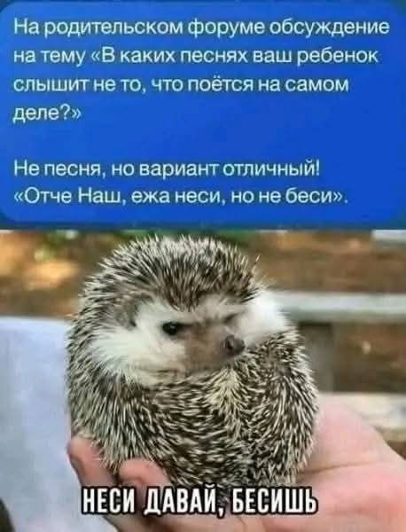 Маленькая пятница 22.10