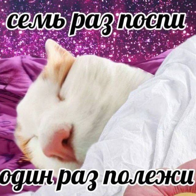 Четверговые картинки