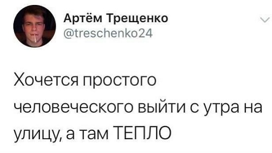 Мой кот