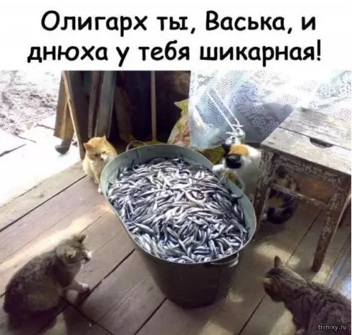 Картиночки, баянчики 19 марта