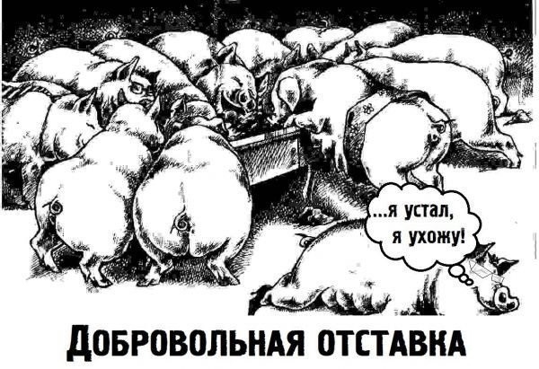 Никогда такого не было, и вот опять!