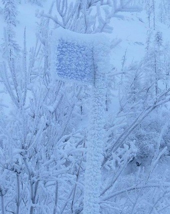 Всех причастных