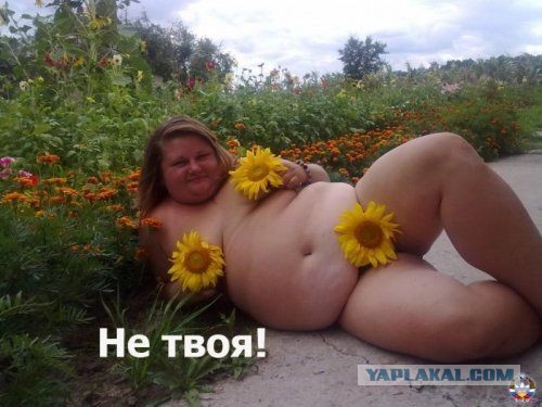 Ах, эта свадьба...