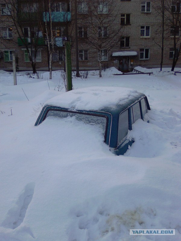 Жизнь вокруг меня