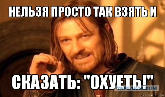 300 мышей