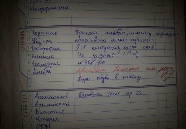 Записи в Дневниках