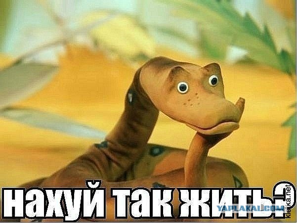 ПР инициирует обращение