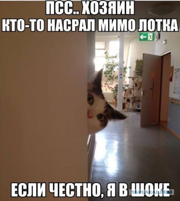 Немного позитива