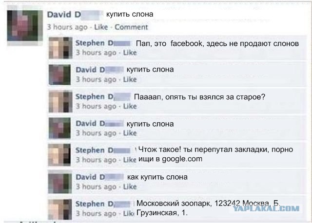 Где купить окорочка