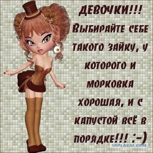 Смешные комментарии из социальных сетей 11.11.2014