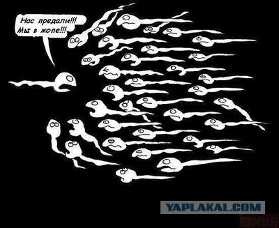 Фотки из инетов