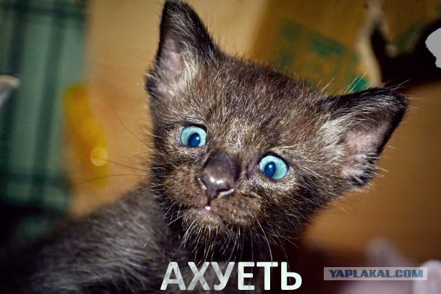 Серийная Lada Vesta