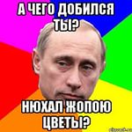 В чем виноват Путин