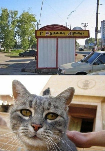 Всяко-разно