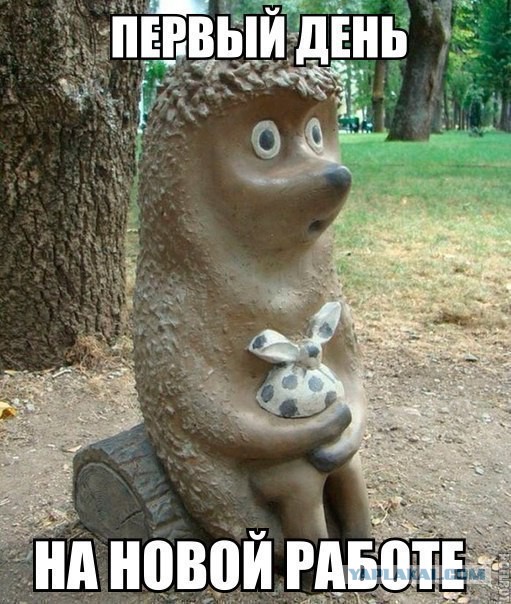 Первый день на работе