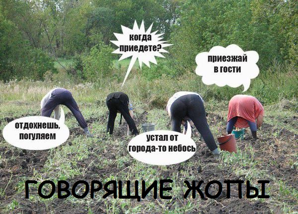 Забавные картинки из Сети