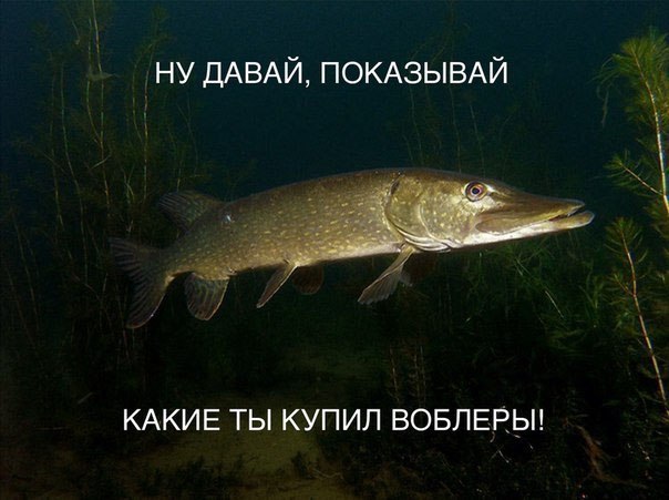 картинки на выходные