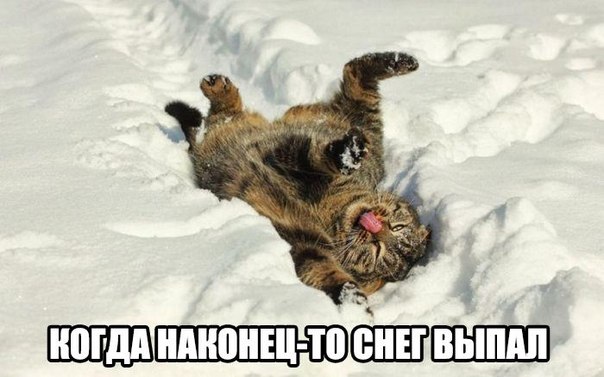 Картинки и демотиваторы