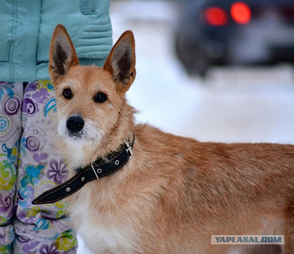 Куда податься?