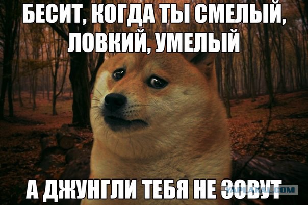 Сергей Супонев: "Вечером в среду, после обеда..."