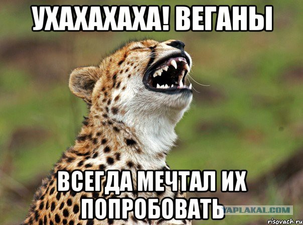Веганы против мясоедов