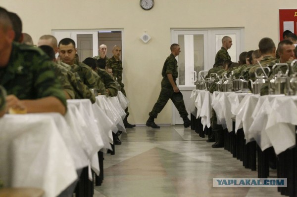 Про армейское питание. Военные инженеры