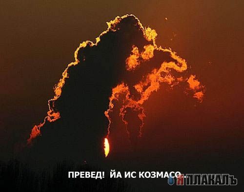 Превед медвед!