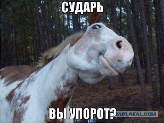 По поводу Олимпиады и прочего