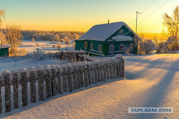 Подборка "тёплых, уютных, домашних" фотографий