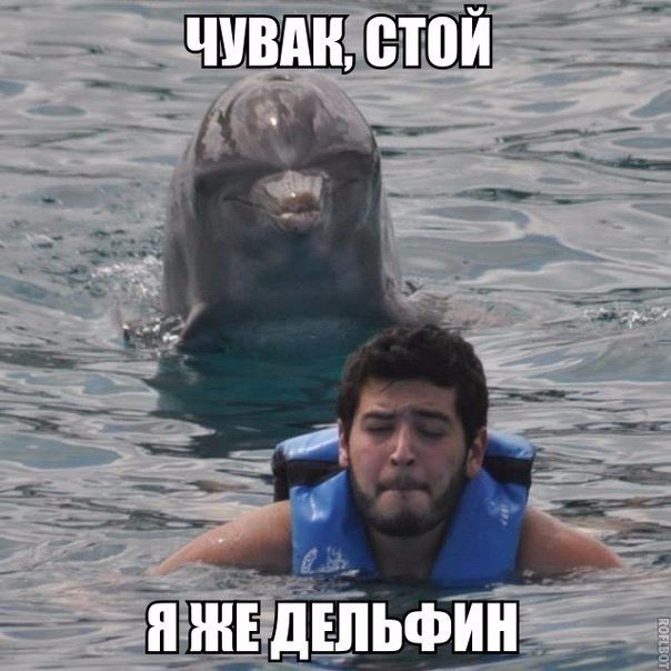 Порция картинок из сети