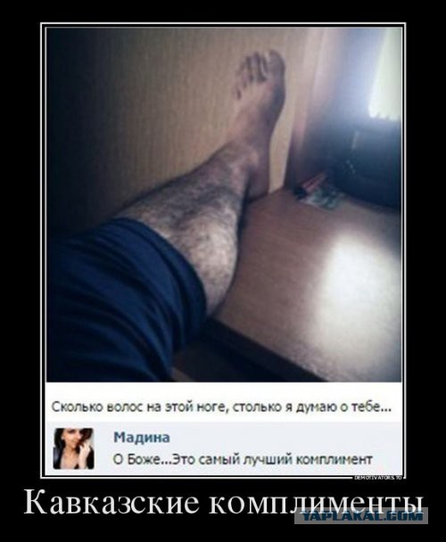 Два десятка картинок для позитивного настроения!