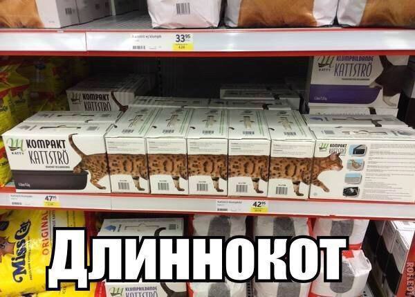 Много картинок
