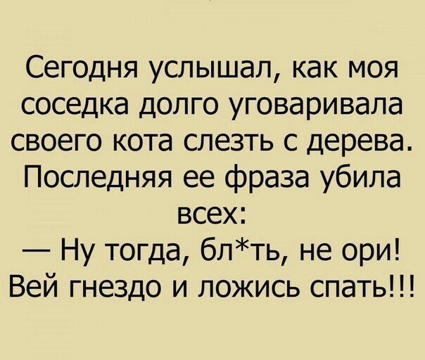 Картинки из интернетов