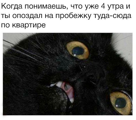 Подборка интересных и веселых картинок