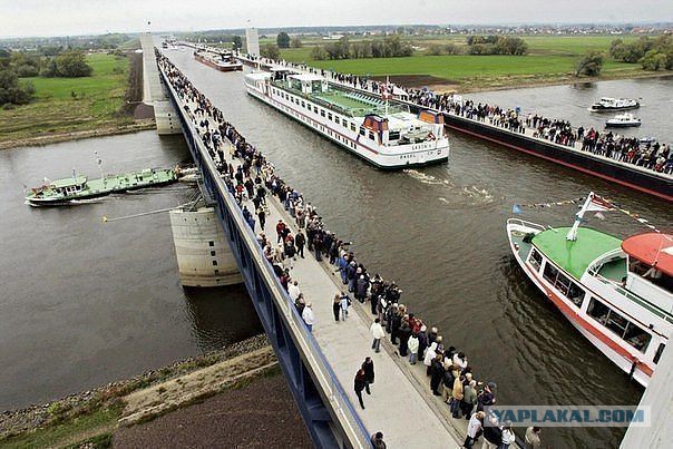 Утренняя телеотрава для инвалидов ума