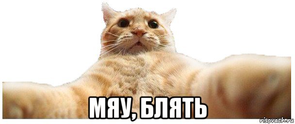 Гнилой форшмак