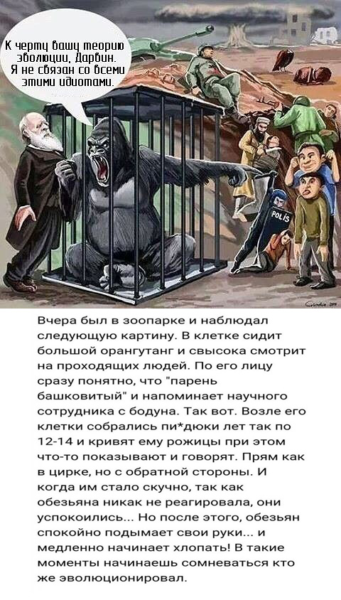 Продолжаем мизантропизировать