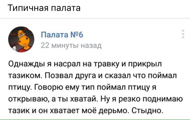 Воскресная деградация - залог успешной рабочей недели!