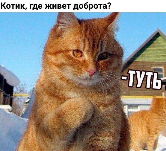 Подборка интересных и веселых картинок