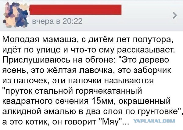 Эти комментарии меня добьют