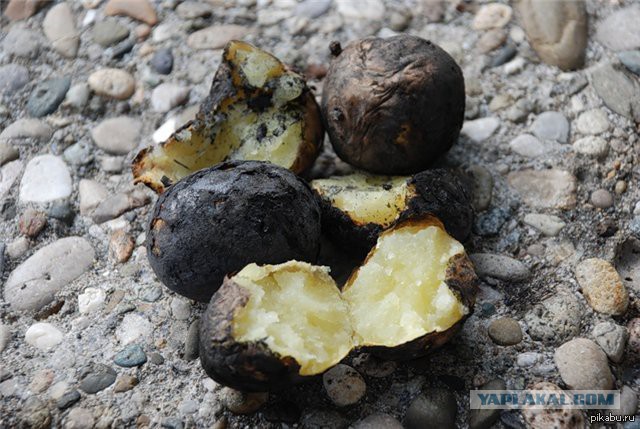 Игрушки из детства, сделанные своими руками