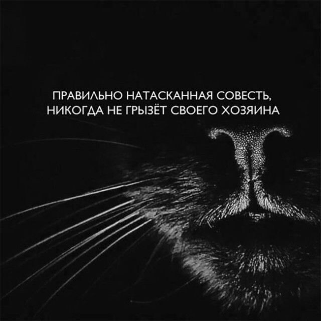 Итоги проверки пользователей
