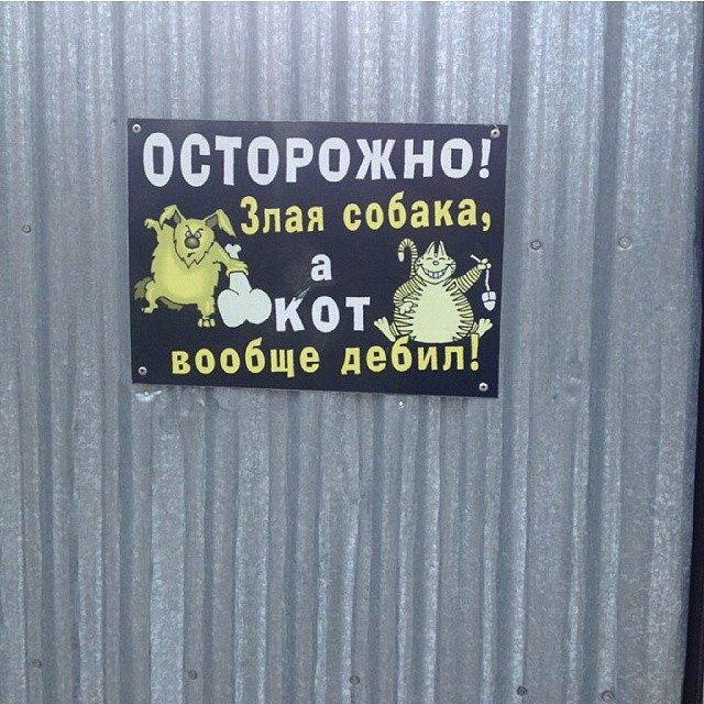 Надписи от тех, кто точно знает, как приковать наше внимание