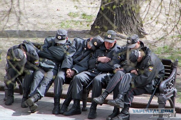 Массовое недовольство в органах: полицейским повышают выслугу лет