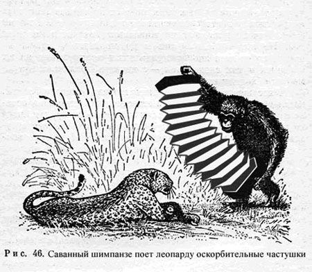 Немного картинок на сегодня