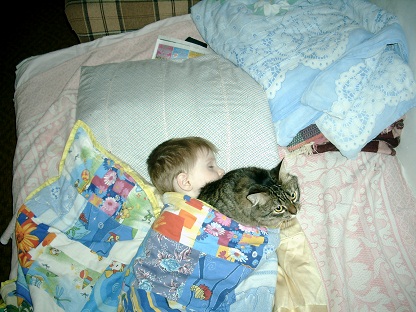 Котовторник! 13.03.2012