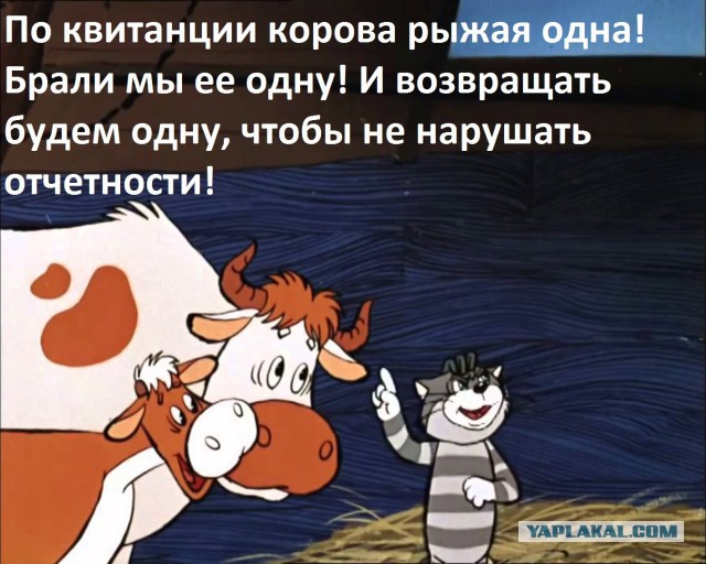 Мужское логово!