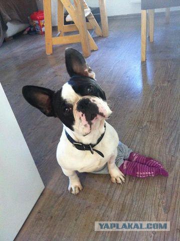 Из России в Германию