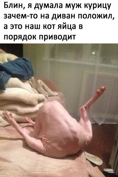 Я не знаю, что тут происходит...